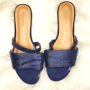 Banana Republic Double Strap Leather Slide 8.5 Blue Multi